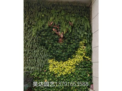 植物墙草雕，五色草造型