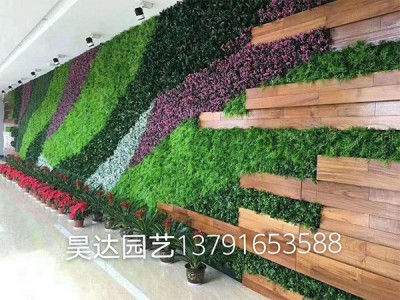 植物墙草雕，五色草造型